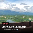 스타벅스 서면센트럴스퀘어점 | 속초 카페 추천 | 스타벅스 영랑호리조트점 20층 파노라마 뷰 맛집 내돈내산 후기