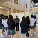 미술관로 이미지