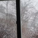 평창 한농마을 눈오는 날 이미지