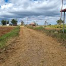 고원농장 이미지