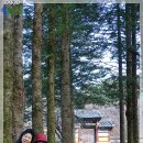 김용사 주차장 이미지