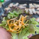 진주밀면 - 진주시 창렬로 83-1 | 진주밀면