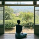 녹차향기 | 하동 가볼만한곳 추천 | 매암제다원 녹차밭 풍경과 세작녹차 후기