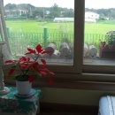 풍경운동장 화장실 이미지