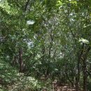 몽마르뜨공원 이미지