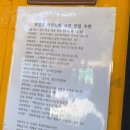 강진-10 | 내돈내산. 전남 강진 림스 캠핑&amp;글램핑 측백 후기
