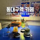 짱돌식당 | 동대구역 카페 고양이, 책, 시티 팝으로 가득한 독립서점 심플책방