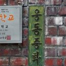 학교법인연일학원 SBS