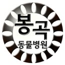 마음사랑동물병원 이미지