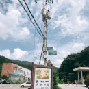 호박오리 이미지