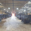 영생목장 이미지