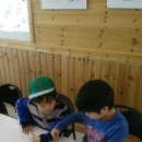 용인대 탑 태권도 이미지