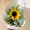 루루당구장 이미지