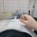 세진컴퓨터세탁 | [임신 후기 8개월 9개월 증상] 28주 29주 30주 31주 32주 33주 34주 35주_만삭 사진 촬영, 자궁수축검사...