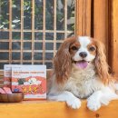 주식회사 헬스랩 이미지