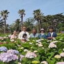 제주도 관광버스 대절 제주 쏠라티 렌트 여행 후기