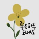 특사체육관 이미지