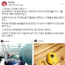 조성은 페이스북 카카오 검색결과