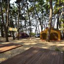 춘장대캠핑장 이미지