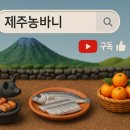 카페세라비 | 제주 노형 조용한 동네 골목에서 발견한 베이커리 카페 ‘세라비’ 내돈내산 후기