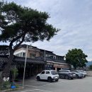 단우물카페 | 춘천 단우물카페 방문 후기 망고빙수 맛집, 반려견 동반 가능, 고양이카페!