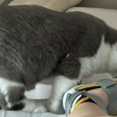 더편한정형외과의원 이미지