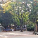 백마공원 화장실 이미지