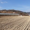 금수강산부동산중개 티스토리