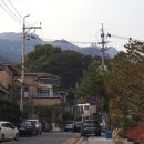 중앙동 시민회관 네이버블로그