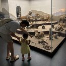 환경로 | 청라 국립생물자원관 3번째 방문 후기 (무료 인천 실내 나들이 추천)