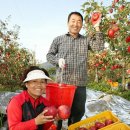 반딧불마트(시장) 이미지