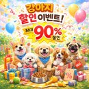 501002 | 대구강아지분양은 신뢰있는 곳에서