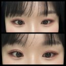 [성남/수진] 속눈썹언니 :: 수진역 속눈썹펌 후기