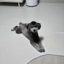 멍뷰티샵 이미지