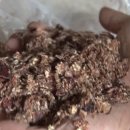 설화사슴목장 이미지