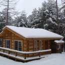 숲속오두막 이미지