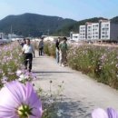 죽림4로가로수 네이버블로그