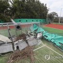 박지호테니스장