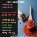언니네떡볶이 - 화성시 와우안길 60 | 언니네떡볶이
