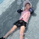 꽃잎반 정이든의 신나는 여름방학🎶 1편 이미지