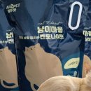 냥이마을