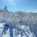 해솔뫼 백번째 정기산행(240128) 이미지