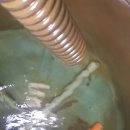 에벤에셀농장 이미지