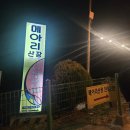 이모네고기백숙 | 부산 북구 만덕동 여름 평상추천 메아리산장 오리불고기, 오리백숙 솔직후기