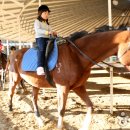 테마파크 이미지