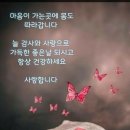 (주)다감 이미지