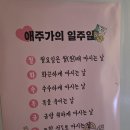 나경이네 | 망원동 망원역 모임 하기 좋은 가성비 술집