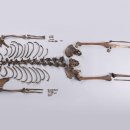 동궁과월지 화장실 이미지