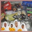 (주)대도마트 이미지