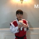 미스터 멍 애견샵 이미지